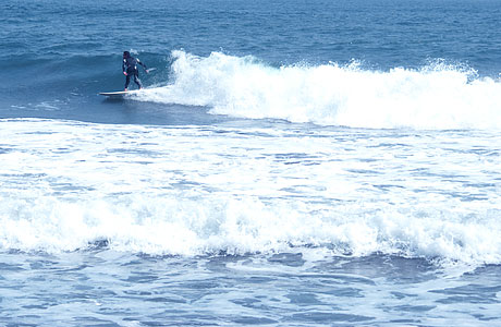 �T�[�t�B��