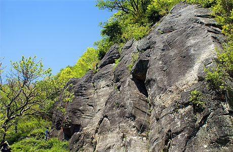 ���͌�����