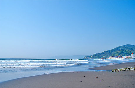 ���͌��C������i�g��C�݁j